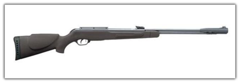 Gamo CFX